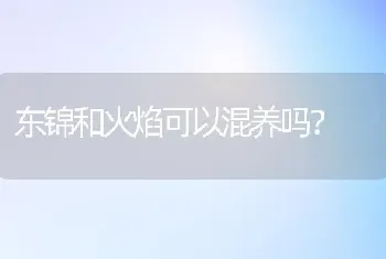 东锦和火焰可以混养吗？