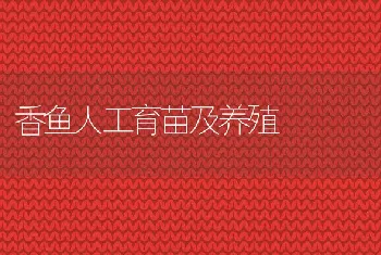 畜禽饲料科学添加抗生素六要点