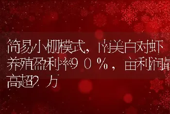 简易小棚模式，南美白对虾养殖盈利率90%，亩利润最高超2万