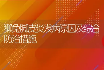 獭兔脚皮炎发病原因及综合防治措施