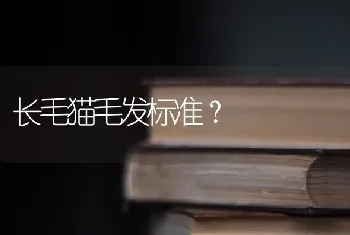 长毛猫毛发标准？