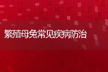 繁殖母兔常见疾病防治