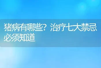 猪病有哪些？治疗七大禁忌必须知道