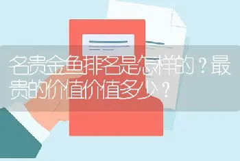 名贵金鱼排名是怎样的？最贵的价值价值多少？