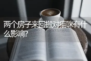 两个房子来回搬对猫咪有什么影响？