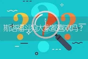 斯塔福斗狗大家都喜欢吗？