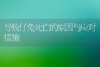 导致仔兔死亡的原因与应对措施