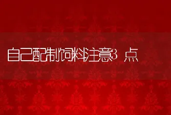 自己配制饲料注意3点