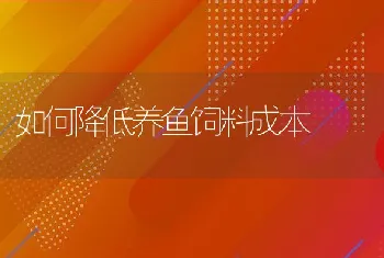 如何降低养鱼饲料成本