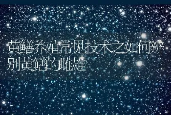 黄鳝养殖常见技术之如何辨别黄鳝的雌雄