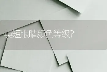 英短眼睛颜色等级？