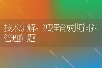 技术讲解:狐狸育成期饲养管理问题