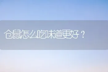 仓鼠怎么吃味道更好？