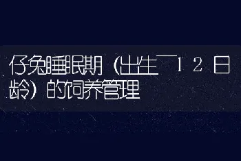 仔兔睡眠期（出生～12日龄）的饲养管理