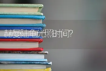 赫曼陆龟光照时间？