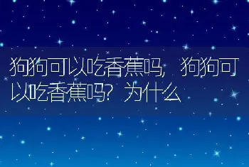 狗狗可以吃香蕉吗，狗狗可以吃香蕉吗？为什么