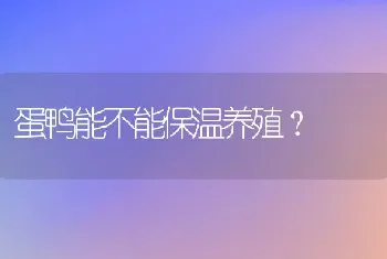 蛋鸭能不能保温养殖？