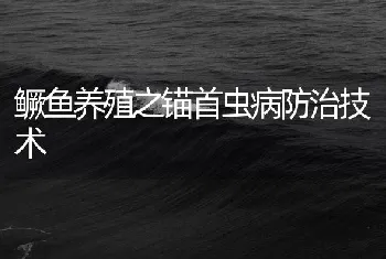 鳜鱼养殖之锚首虫病防治技术