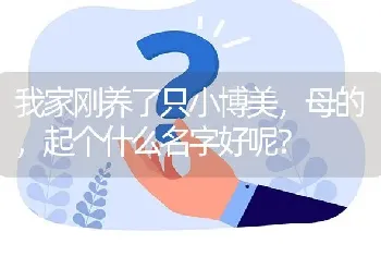 我家刚养了只小博美，母的，起个什么名字好呢？