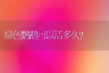 绿色鹦鹉可以活多久？