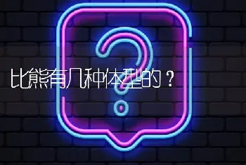 比熊有几种体型的？