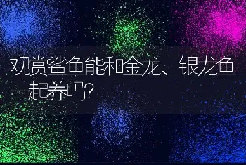 小鹿犬适宜温度是多少？