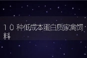 10种低成本蛋白质家禽饲料