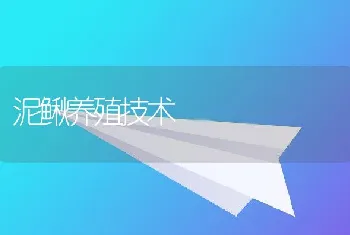 泥鳅养殖技术