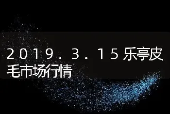 2019.3.15乐亭皮毛市场行情