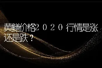 黄鳝价格2020行情是涨还是跌？