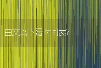 白文鸟下蛋时间表？