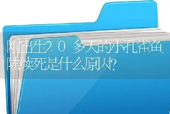 刚出生20多天的小孔雀鱼陆续死是什么原因？