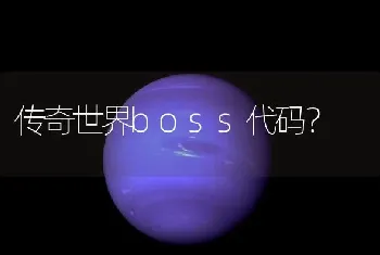 传奇世界boss代码？