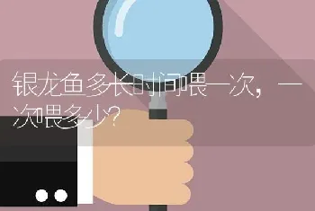 银龙鱼多长时间喂一次，一次喂多少？