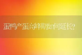 蛋鸭产蛋高峰期如何延长？