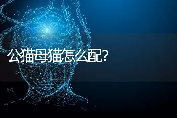 高加索的别称？