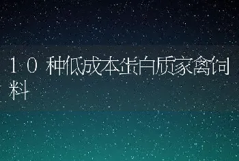 10种低成本蛋白质家禽饲料