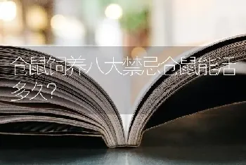 仓鼠饲养八大禁忌仓鼠能活多久？