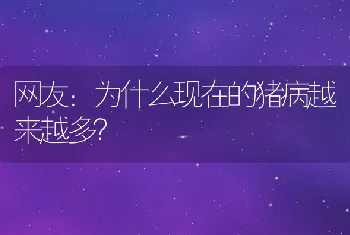 网友：为什么现在的猪病越来越多？