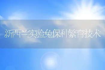 新西兰实验兔保种繁育技术