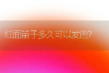 我家的猫一直会打喷嚏呼吸声有时候很重，吃饭香，喝水拉屎都正常，我问了医生说可能猫发育的时候会把？