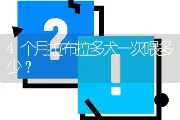 4个月拉布拉多犬一次喂多少？