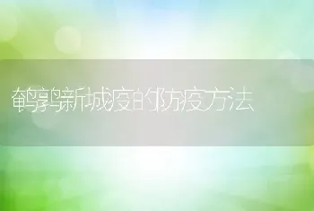 鹌鹑新城疫的防疫方法