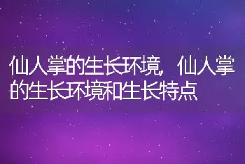 仙人掌的生长环境，仙人掌的生长环境和生长特点