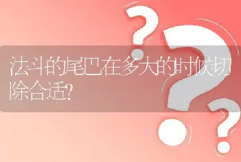 法斗的尾巴在多大的时候切除合适？