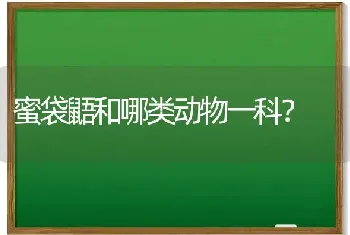 蜜袋鼯和哪类动物一科？