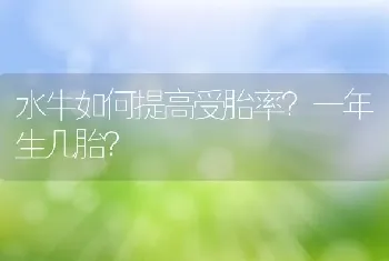 水牛如何提高受胎率？一年生几胎？