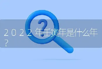 2022年壬寅年是什么年？