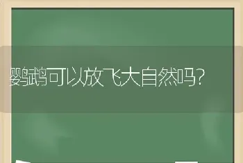 鹦鹉可以放飞大自然吗？