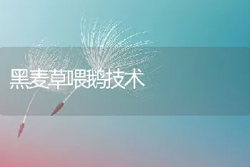 养殖黄粉虫投入产出情况怎样？